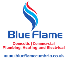 blue flame logo no phone number 01 1